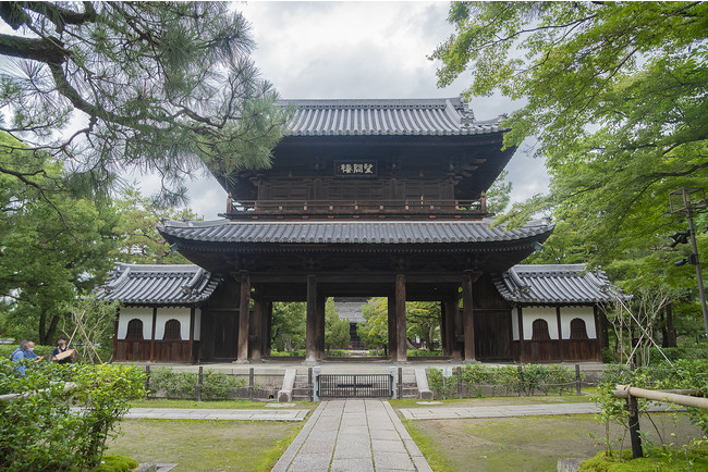 風神雷神図屏風のように佇む2本のオチャノキ。