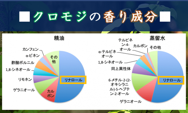 甘く爽快感のあるクロモジの香りの正体は「リナロール」、香り成分の半分以上を占めています。