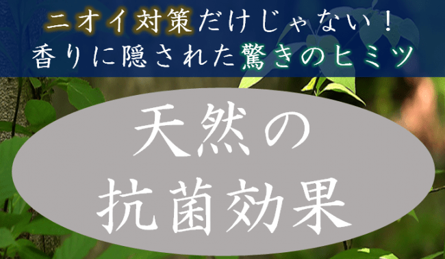 「リナロール」という成分が非常に注目されています。