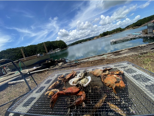 離島キャンプ＆サウナのBBQエリア