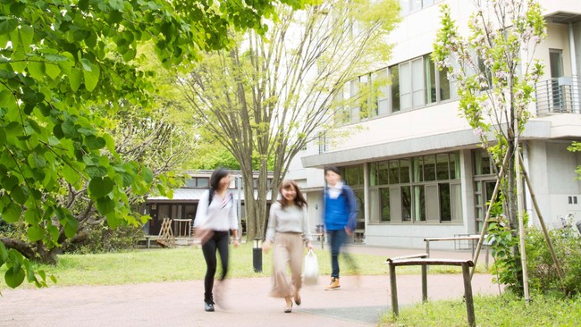 最高学部（大学部）