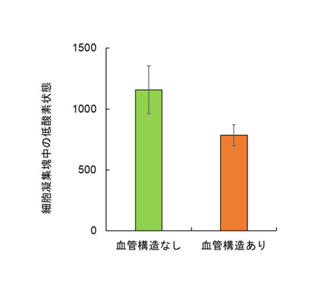 図２：細胞凝集塊中の低酸素状態　（数値がより大きいほうが低酸素状態）