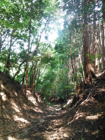 宇治田原町　松峠