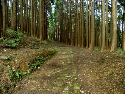 参勤交代が通った古道　普甲道