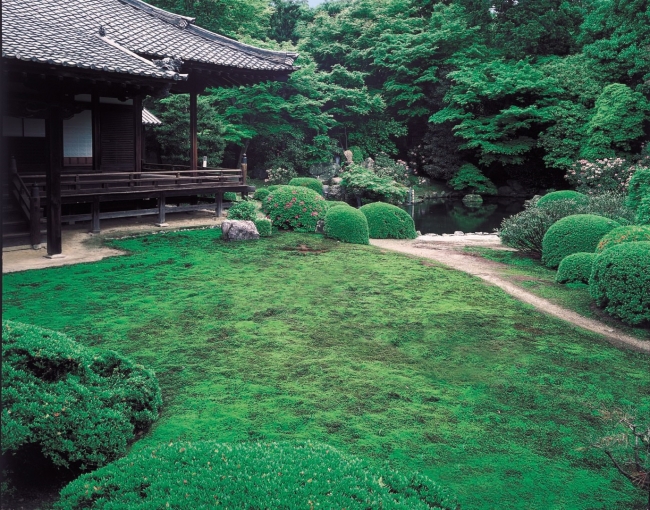 随心院　本堂