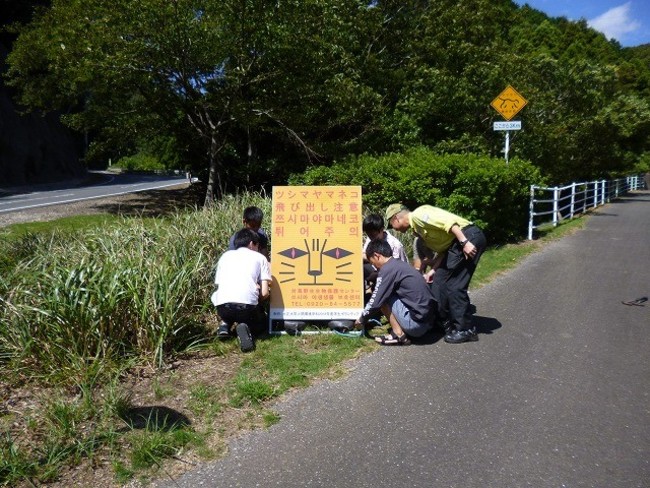 ツシマヤマネコ飛び出し注意喚起の看板設置