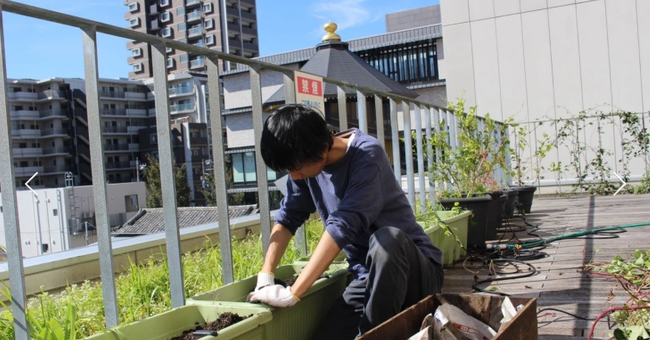 ７号館３Fテラスの畑にて作業する様子