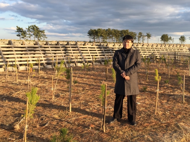 八木澤さんが植樹した松の苗木と