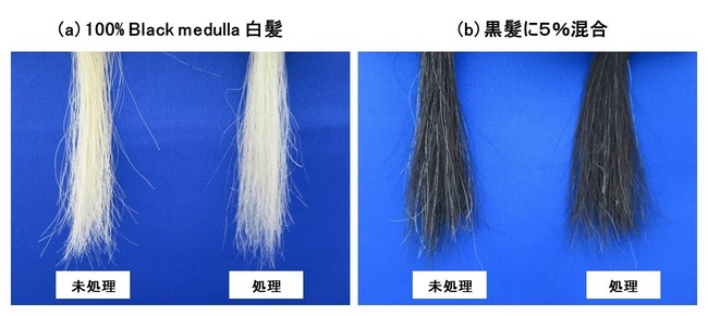 （図３） “Hair Medulla care”　白髪の外観変化