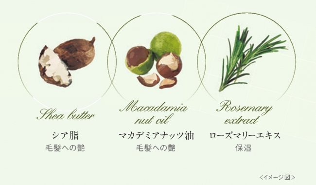 植物由来成分イメージ図