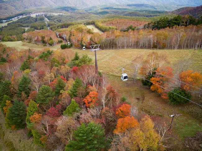 紅葉ゴンドラ