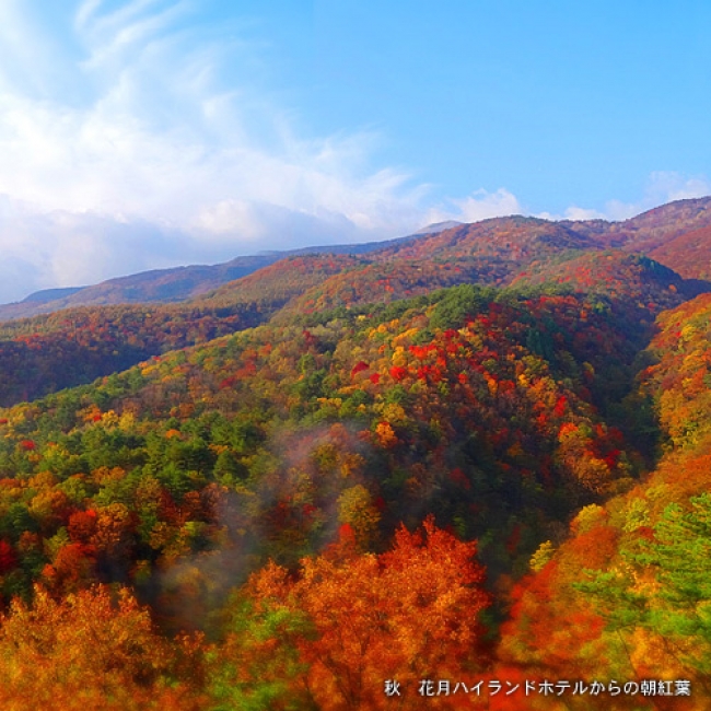 天上の紅葉はまさに絶景の一言（写真提供：高湯温泉観光協会）