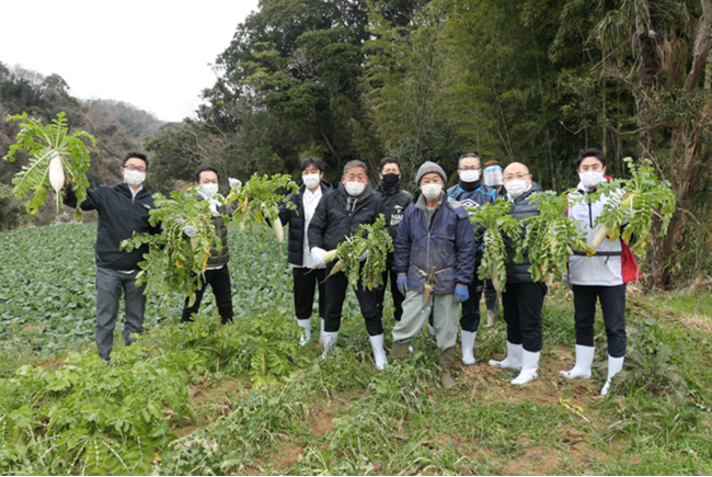 広瀬農園でのホテル幹部たちによる大根掘りの様子