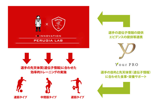 ペルージャラボとユアプロの取組◆選手の遺伝的体質に合わせてトレーニングと栄養両面でサポートをしていく