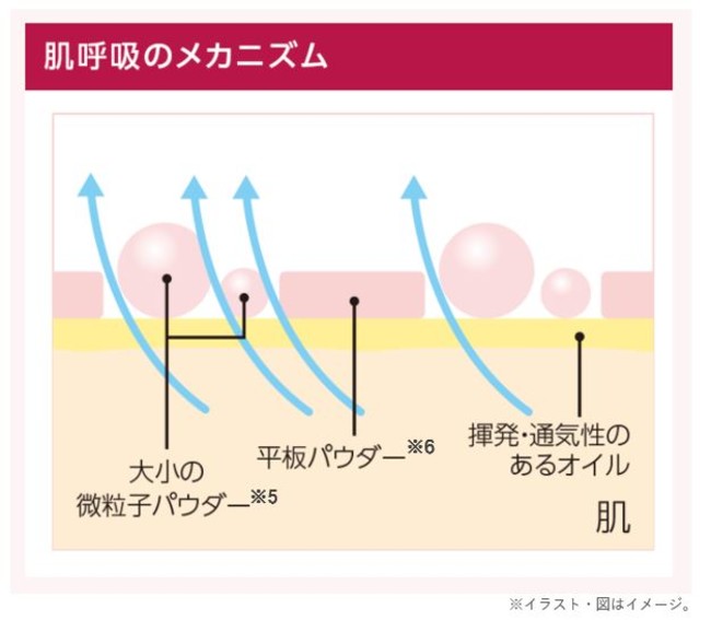 【マキアレイベル】薬用クリアエステヴェール_肌呼吸のメカニズム