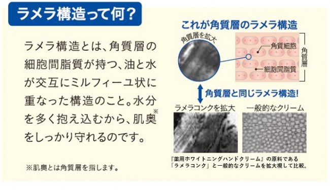 【マキアレイベル】薬用ホワイトニングハンドクリーム_ラメラ構造説明