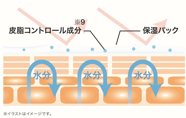 【マキアレイベル】保湿＆バリア機能_肌図イメージ