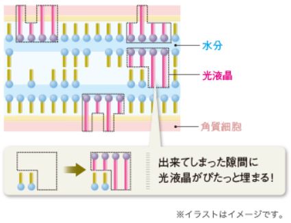 【マキアレイベル】光液晶構造_イメージ