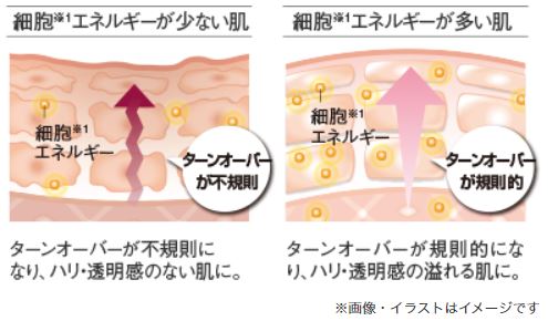 【マキアレイベル】細胞エネルギー肌図_イメージ