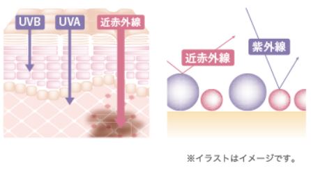 【マキアレイベル】紫外線＆近赤外線肌図_イメージ