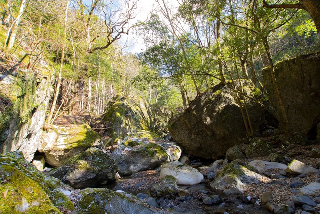 吉野川（紀の川）源流