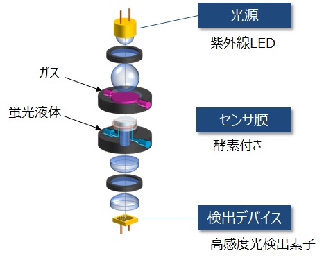 光バイオ方式センサモジュールの基本構成