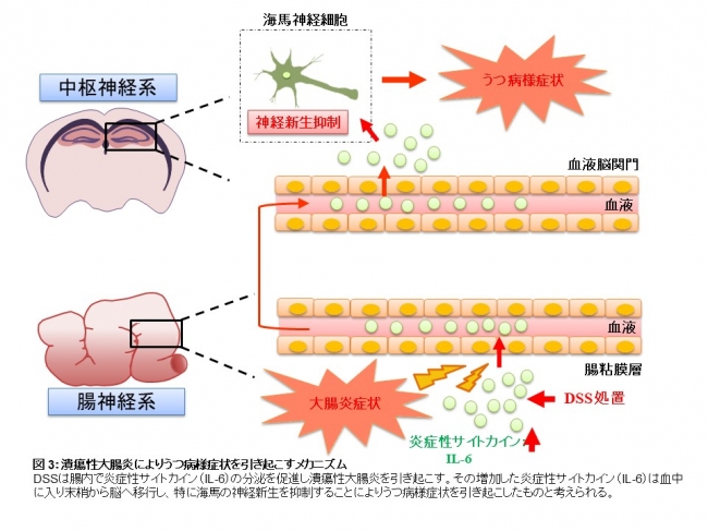 図３