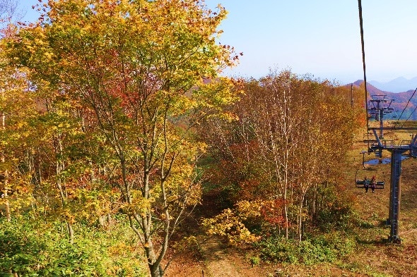 展望リフト紅葉(イメージ)