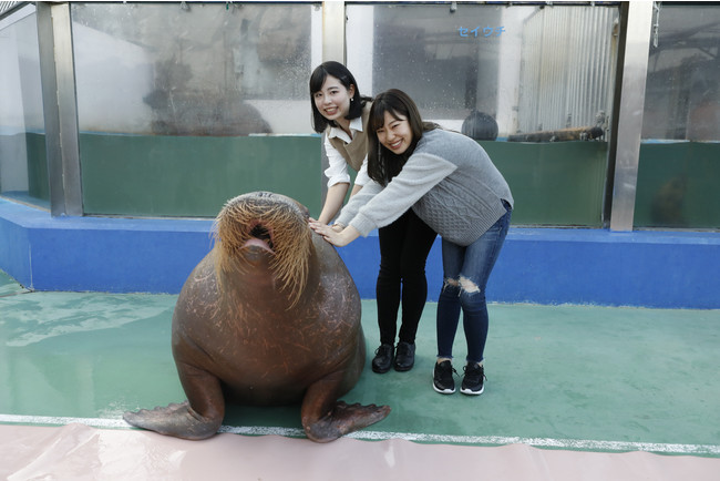 動物ふれあい体験