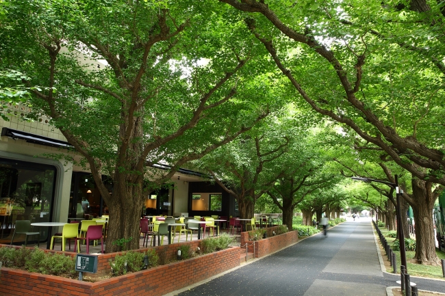 キハチ 青山本店 テラスイメージ