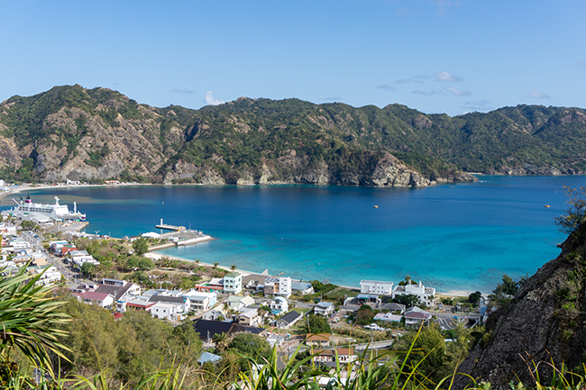 自然豊かな父島