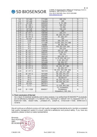 REPORT P3