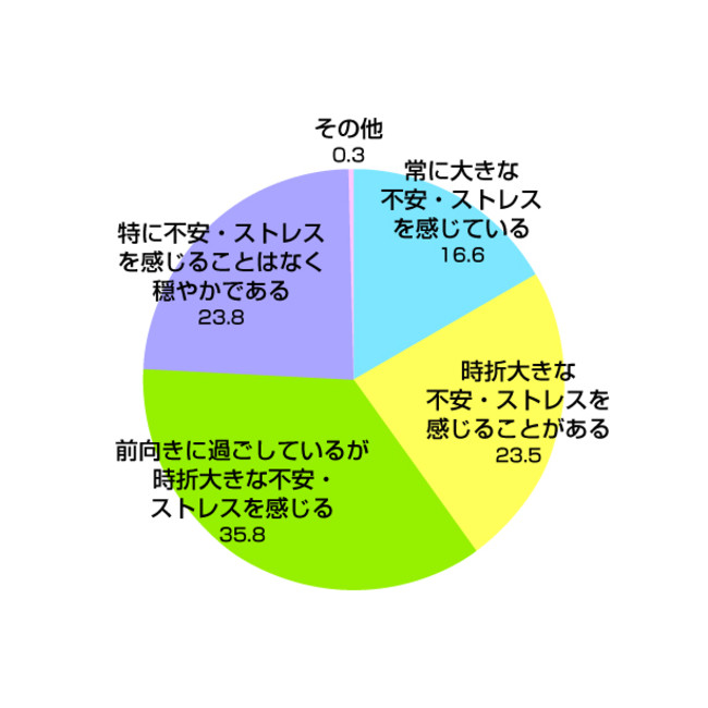 Q.13 新型コロナウイルス感染拡大から現在どのような精神状態にあるか