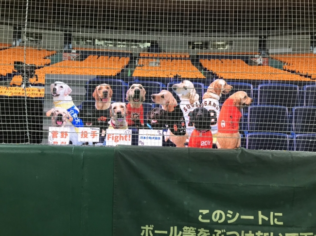 介助犬バーチャルバックネット