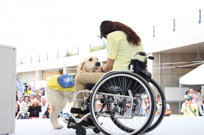 介助犬デモンストレーションのイメージ