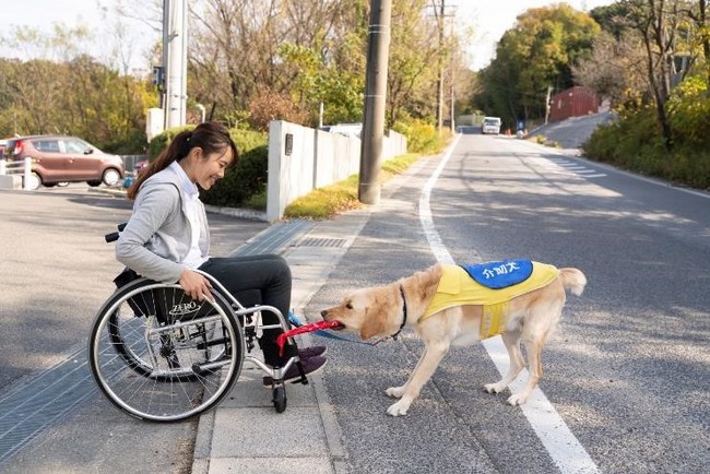 車いすの牽引