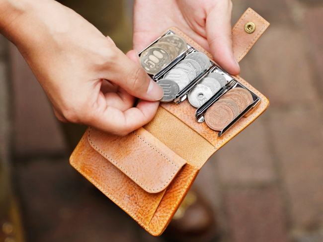 【LITSTA】Coin Wallet　Snowシリーズ