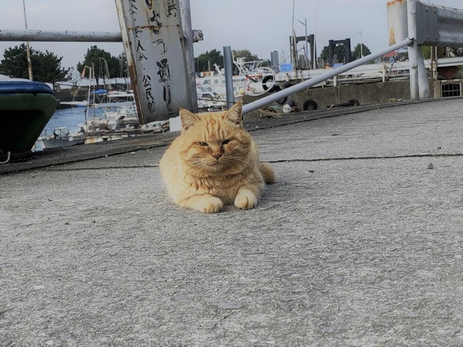 湯島