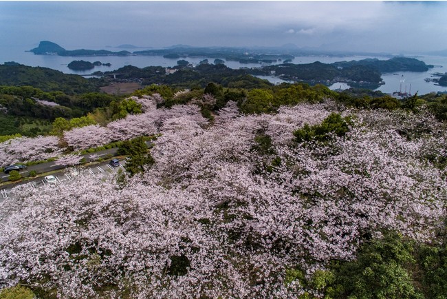 （写真提供：上天草市）