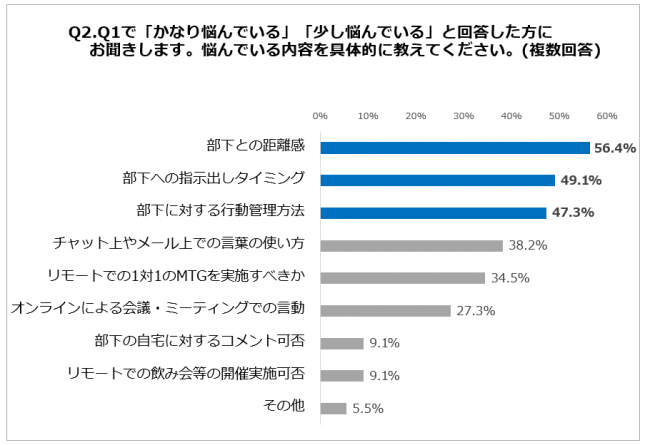 Q2. 悩んでいる内容を具体的に教えて下さい。