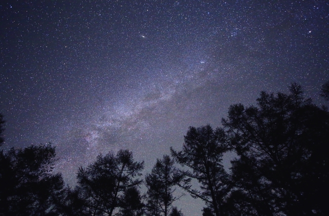 【2位：八ヶ岳（野辺山・富士見高原・原村）】八ヶ岳の星空 （画像提供元：（一社）八ヶ岳ツーリズムマネジメント）