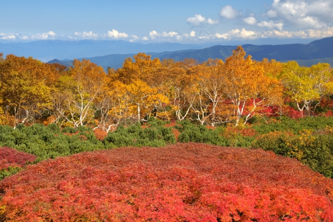 【9月】紅葉の乗鞍高原