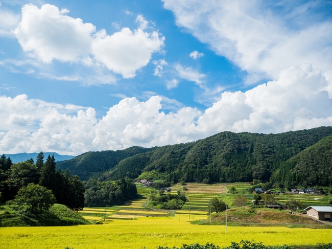 庄原市(イメージ)