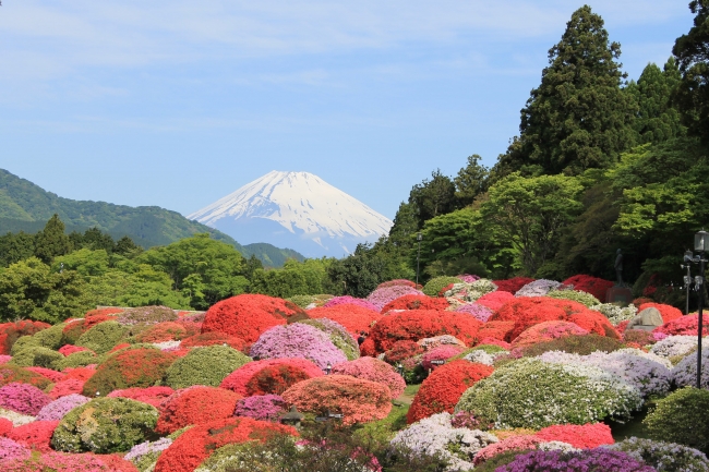 山のホテル　庭園（イメージ）