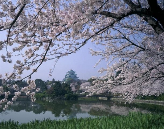 名古屋城（イメージ）