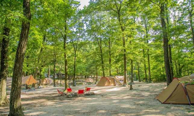 大山隠岐国立公園 一向平キャンプ場