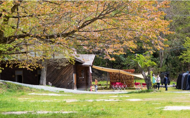 鵜の池公園 キャンプ場