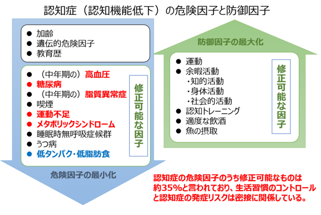 参考：認知症疾患ガイドライン2017（日本神経学会） Livingston G. et al, Lancet, 2017 (390) 2673–734 