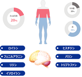 発表資料より