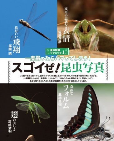 「摩訶不思議な表情」「カッコいい飛翔」「奇抜なフォルム」「翅の美しさ」をテーマにした、“スゴイ昆虫写真”は必見！